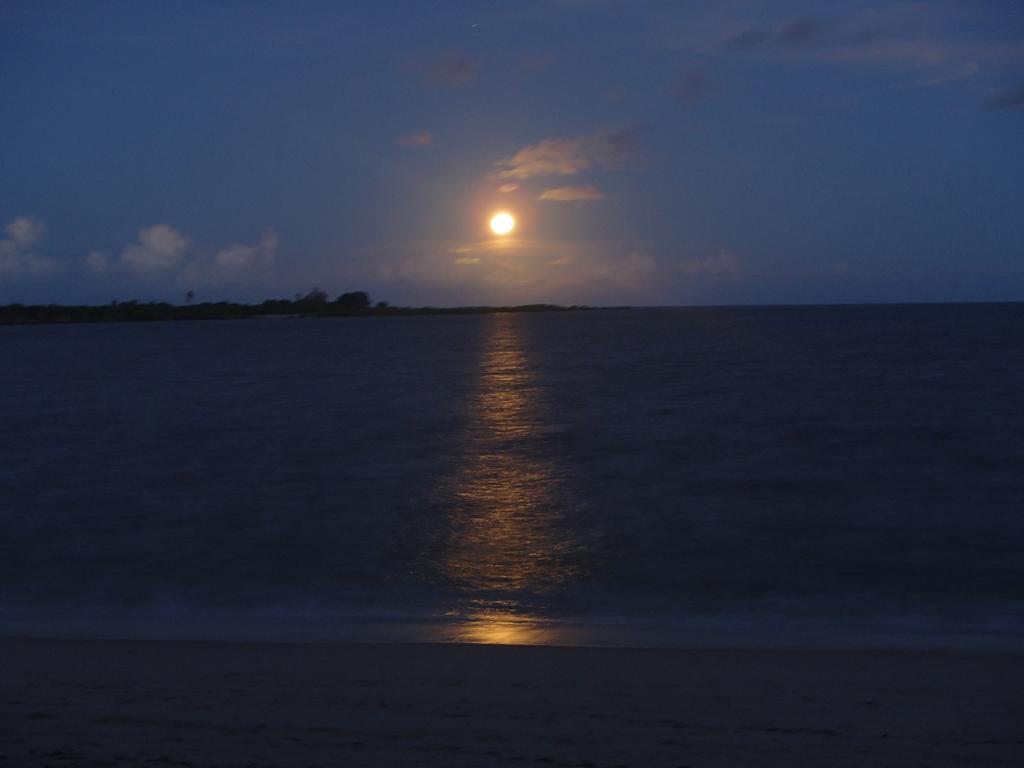 Kimbilio Lodge Kilwa Masoko ภายนอก รูปภาพ